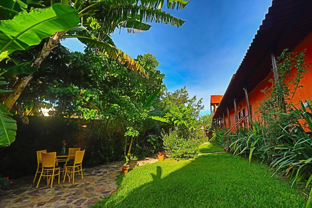 Buddy'S Hostel & Pousada Alto Paraiso Алту-Параизу-ди-Гояс Экстерьер фото
